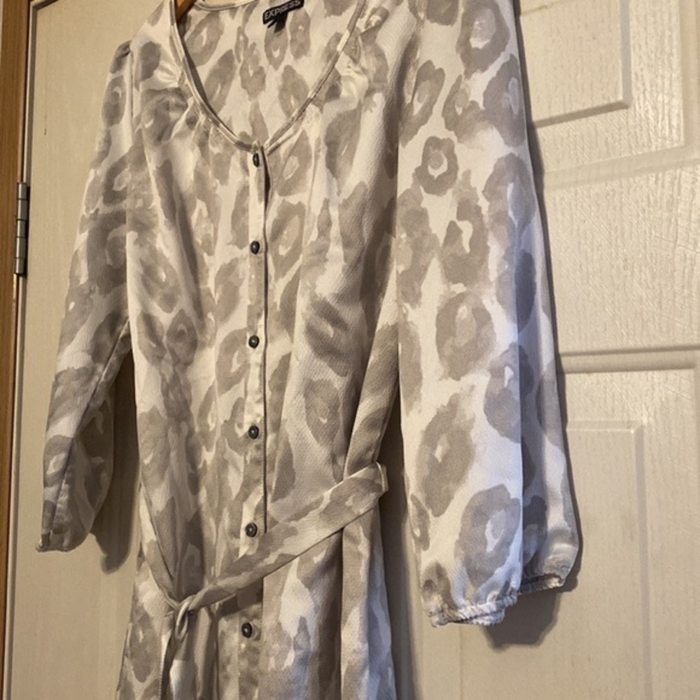 Express Belted Dress - Picture 3 of 6